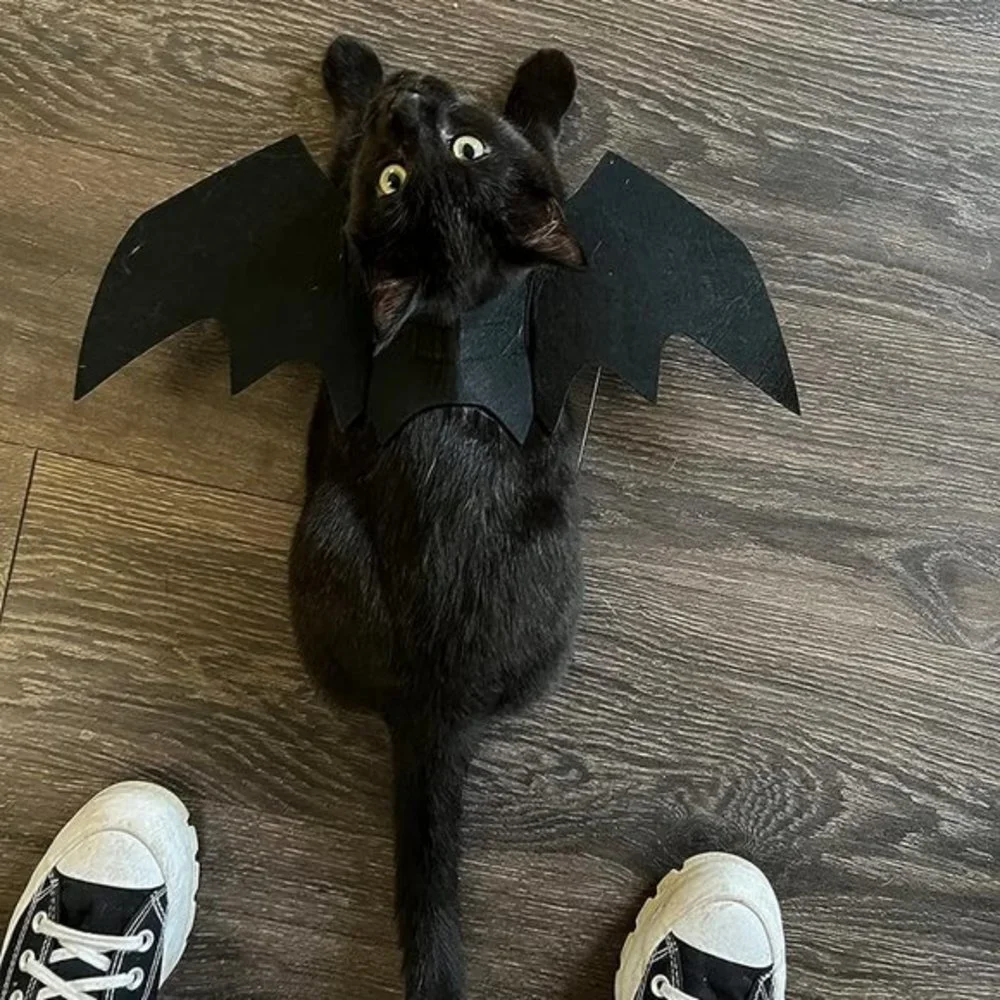 Pet‎ Cat Bat Wings for Halloween Party Decoration